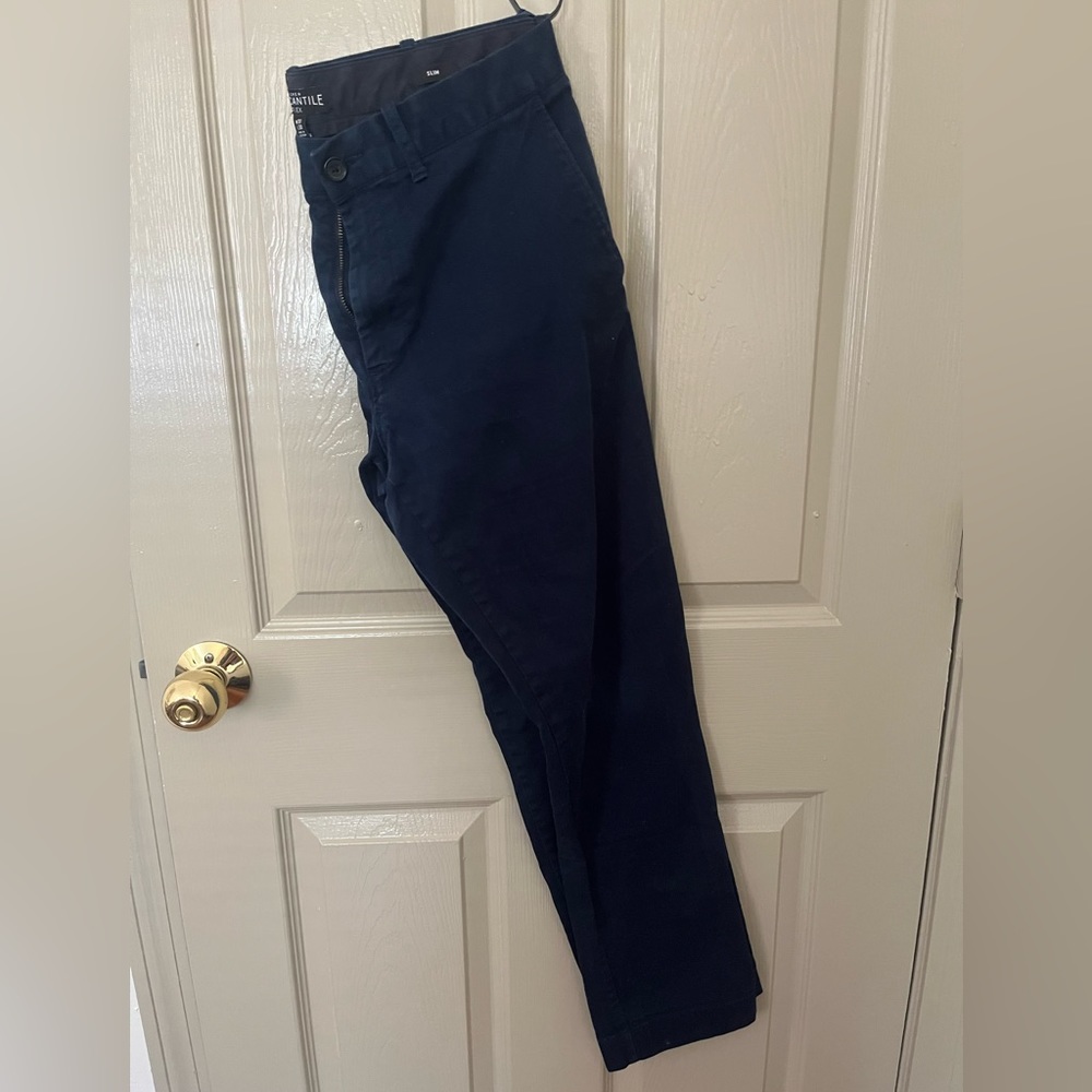 Mens J. Crew Factory Navy Slim Fit Pants